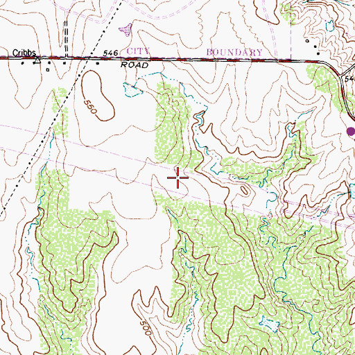 Topographic Map of Interchange 31, TX