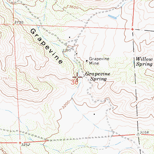 Topographic Map of Grapevine Spring, CA