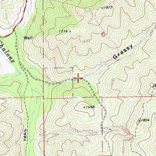 Topographic Map of Grassy Canyon, CA