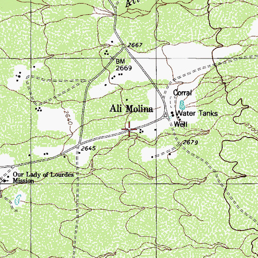 Topographic Map of Ali Molina, AZ