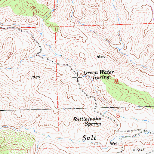 Topographic Map of Green Water Spring, CA