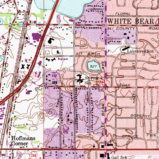 Topographic Map of Saint Pius X School, MN