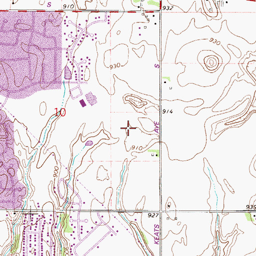 Topographic Map of Cottage Grove Junior High School, MN