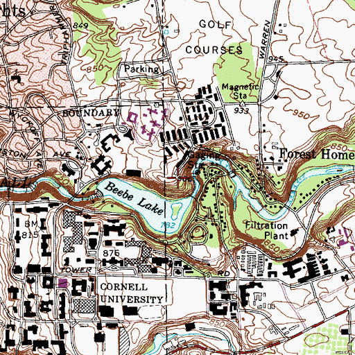 Topographic Map of Fuertes Observatory, NY