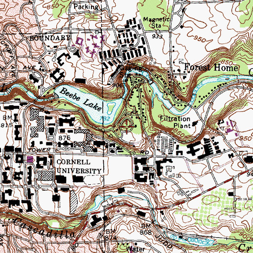 Topographic Map of Nearing Summer House, NY