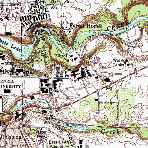 Topographic Map of Muenscher Garden, NY