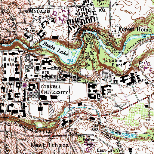 Topographic Map of Bruckner Laboratory, NY