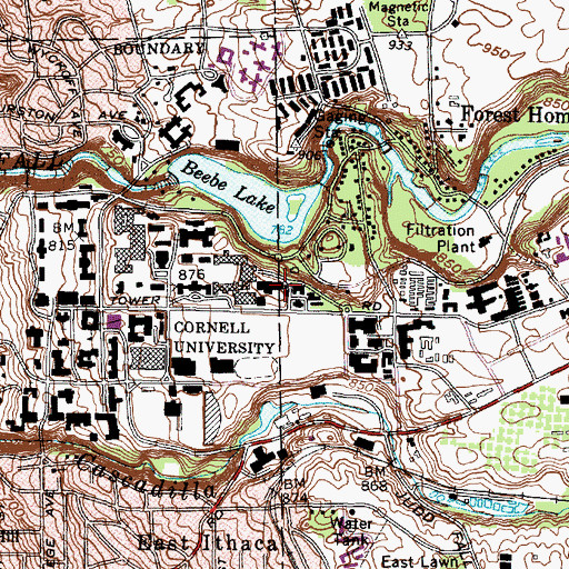 Topographic Map of Fernow Hall, NY