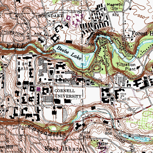 Topographic Map of Mann Library Building, NY