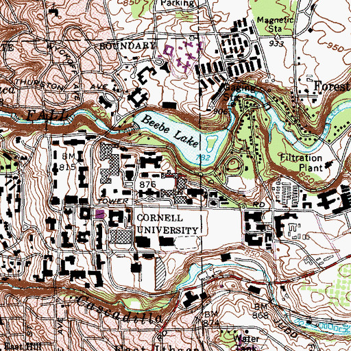 Topographic Map of Warren Hall, NY