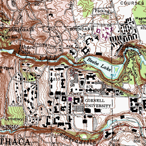 Topographic Map of Baker Laboratory, NY