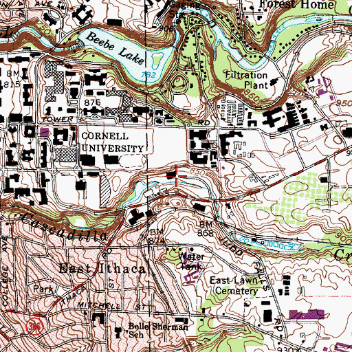 Topographic Map of Wilson Synchrotron Laboratory, NY