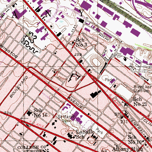 Topographic Map of Saint Ann's Institute, NY