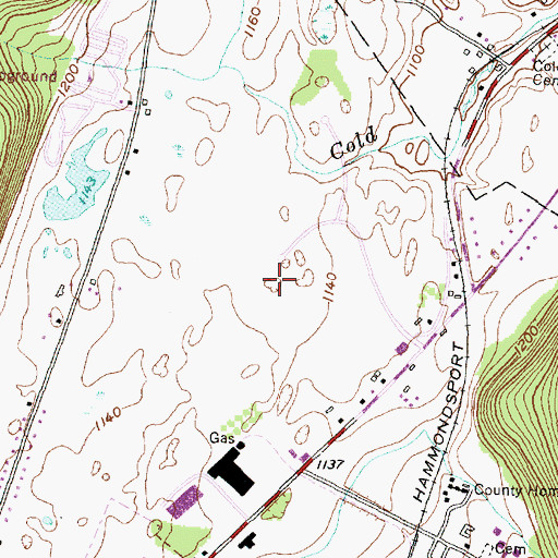 Topographic Map of The Homes Of Wildflower Hills, NY