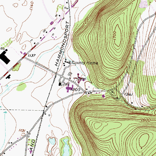 Topographic Map of Old County Home Cemetery, NY