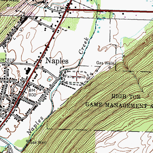 Topographic Map of Naples Union Agricultural Society Fair Grounds, NY