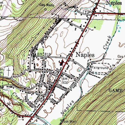 Topographic Map of Naples High School, NY