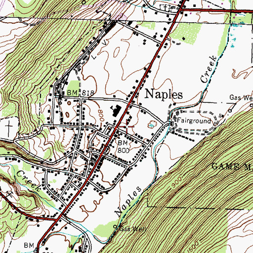 Topographic Map of Memorial Town Hall, NY