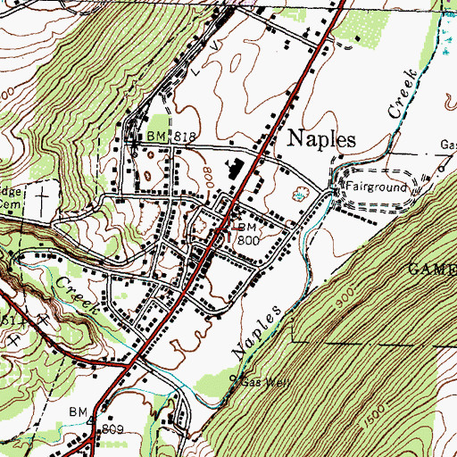 Topographic Map of Naples Gospel Tabernacle, NY