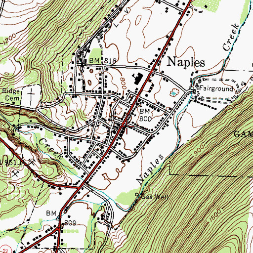 Topographic Map of Naples Village Hall, NY