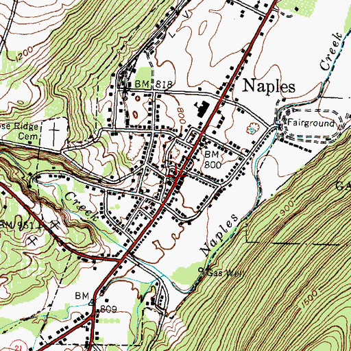Topographic Map of Naples Hotel (historical), NY