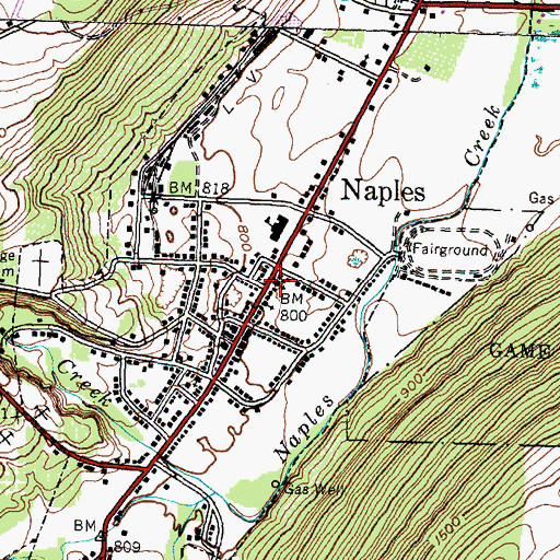 Topographic Map of Trinity Federated Church, NY