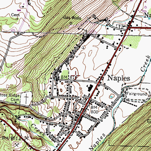 Topographic Map of Naples Elementary School, NY