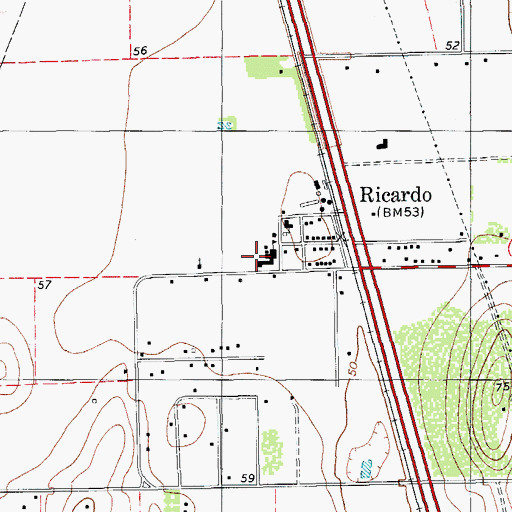 Topographic Map of Ricardo Elementary School, TX