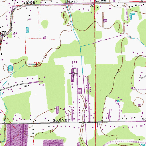 Topographic Map of Central Private School, LA