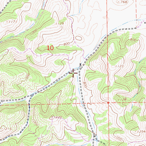 Topographic Map of Hog Canyon, CA