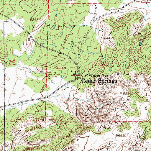 Topographic Map of Cedar Springs, AZ