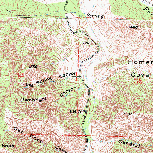 Topographic Map of Hog Spring Canyon, CA