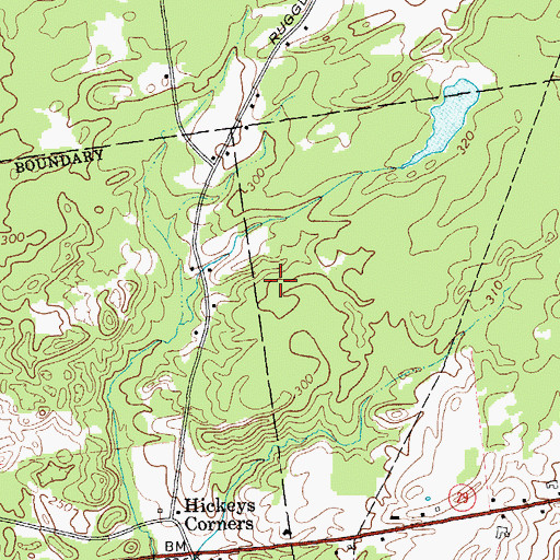 Topographic Map of Scidmore Woods, NY