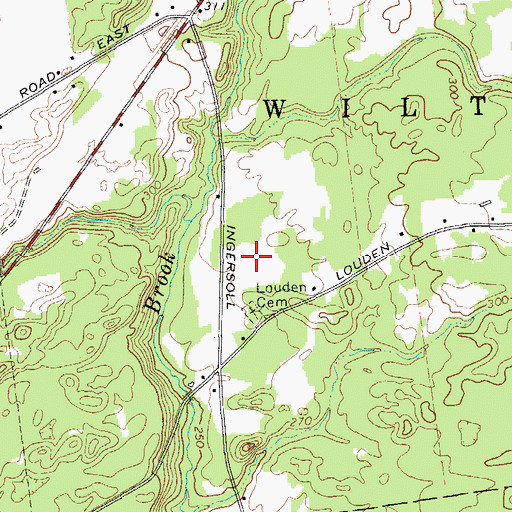Topographic Map of Carlyle Estates, NY