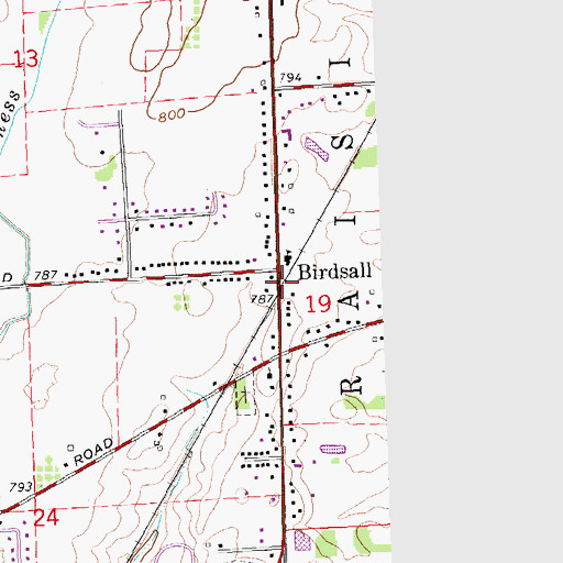 Topographic Map of Birdsall Station (historical), MI
