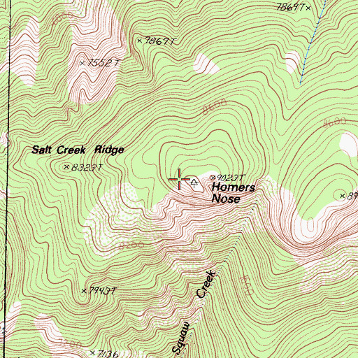 Topographic Map of Homers Nose, CA