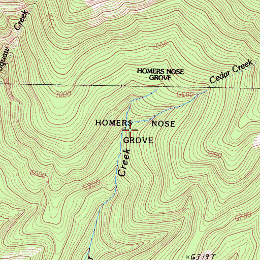 Topographic Map of Homers Nose Grove, CA