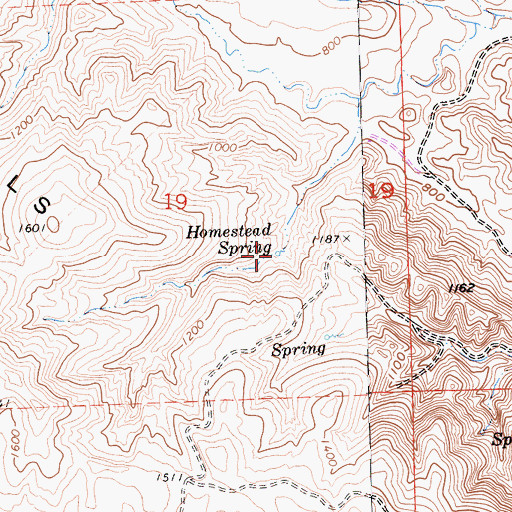 Topographic Map of Homestead Spring, CA