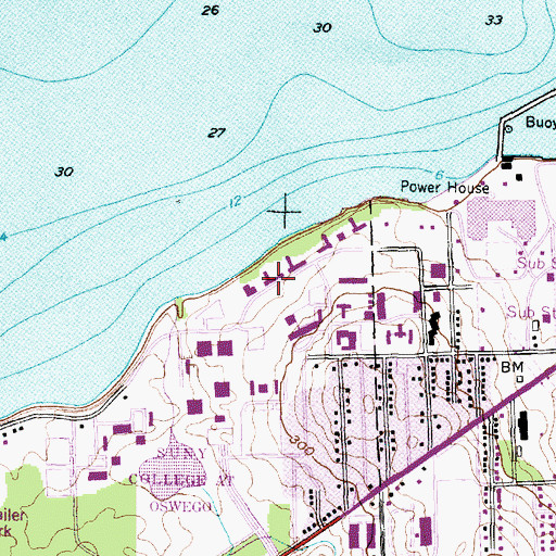 Topographic Map of Scales Hall, NY