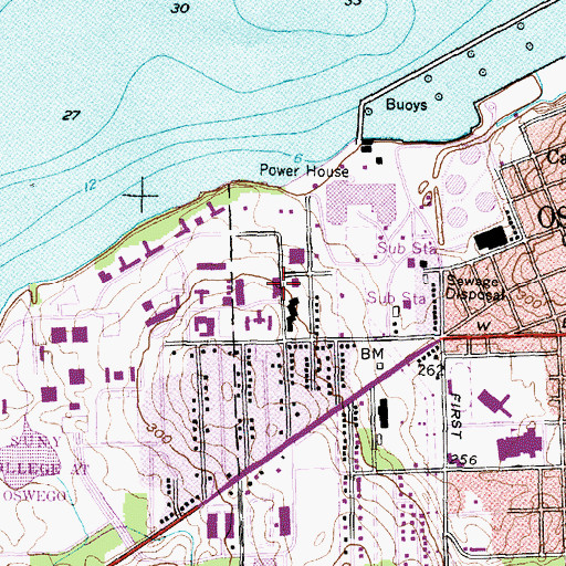 Topographic Map of Rich Hall, NY