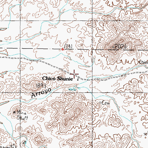 Topographic Map of Chico Shunie, AZ