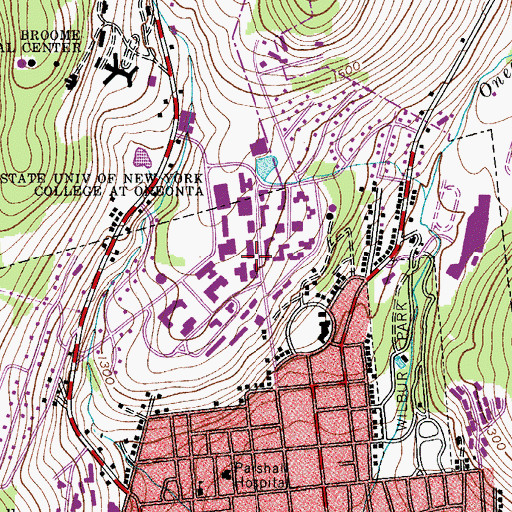Topographic Map of James M Milne Library, NY