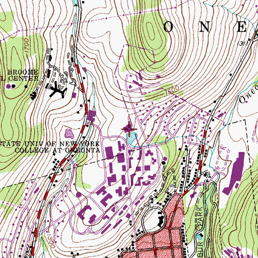 Topographic Map of Hunt Union, NY