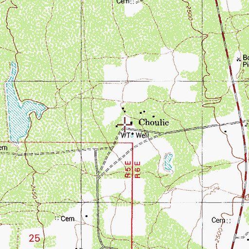 Topographic Map of Choulic, AZ