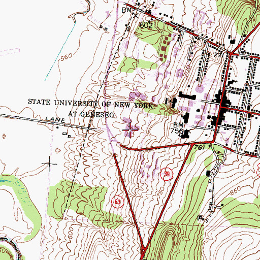 Topographic Map of Winfield A Holcomb Building, NY