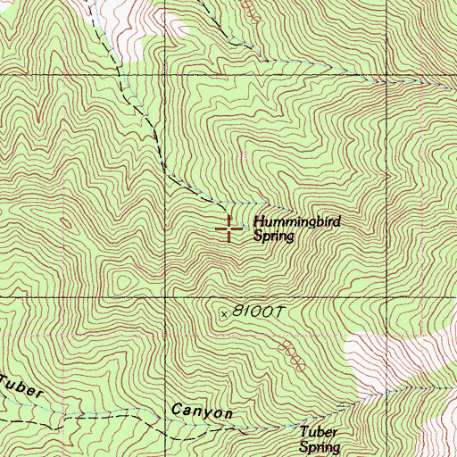 Topographic Map of Hummingbird Spring, CA