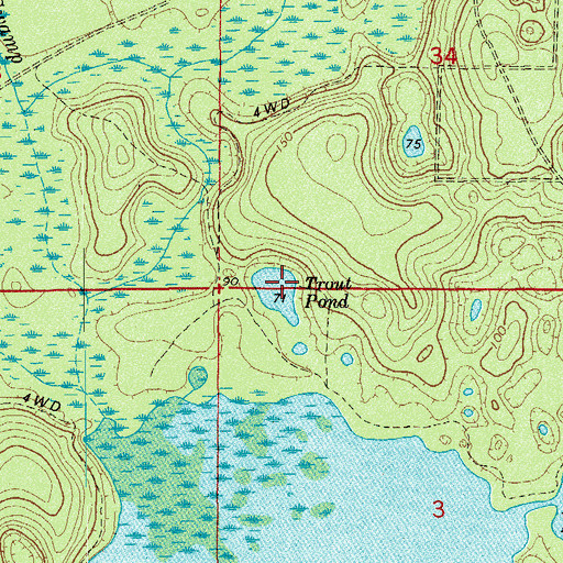 Topographic Map of Trout Pond, FL