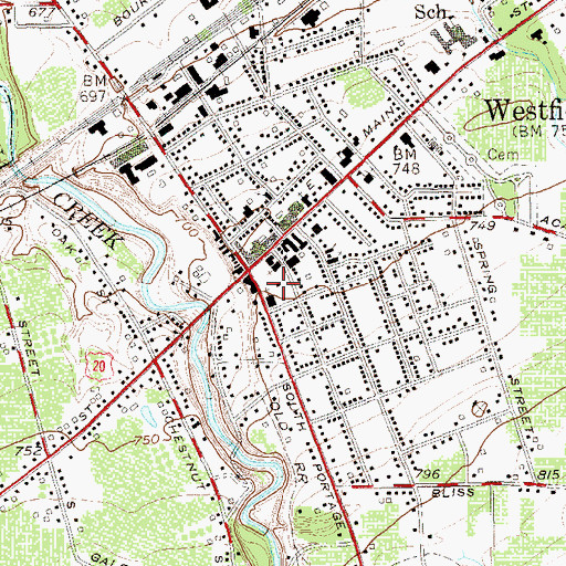 Topographic Map of McClurg Museum, NY