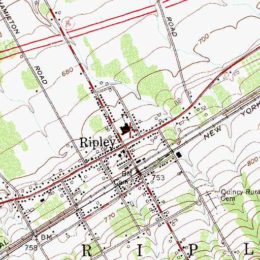 Topographic Map of Ripley Central School, NY
