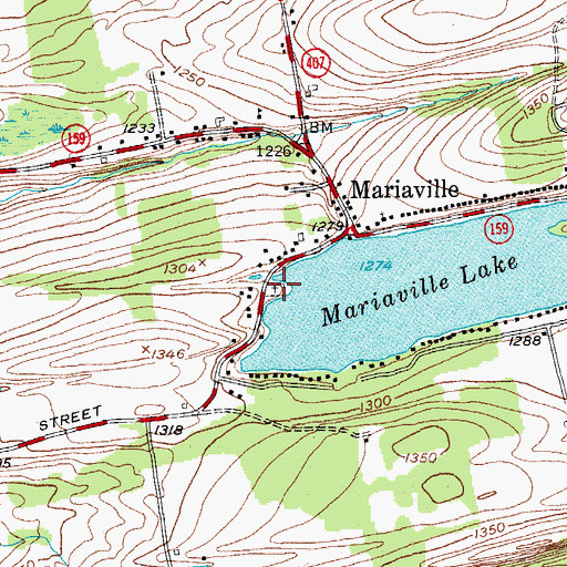 Topographic Map of Mariaville Cemetery, NY
